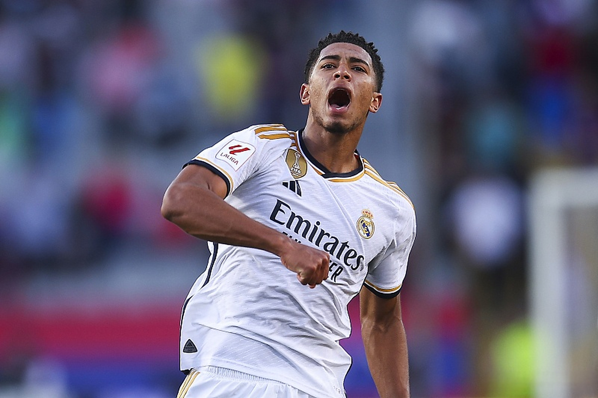 定位球与细 定位球与细